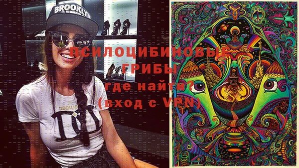 первитин Белокуриха