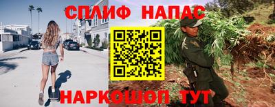 меф Кингисепп