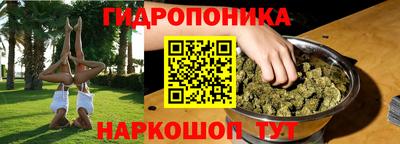 меф Кингисепп