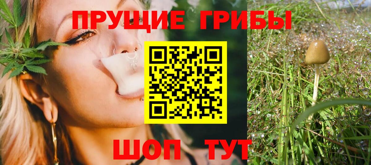 Галлюциногенные грибы Cubensis  Вход с VPN  Соликамск 