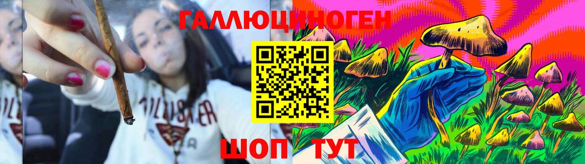 Псилоцибиновые грибы GOLDEN TEACHER  Соликамск 